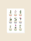 Lebanese Cup Card