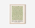 William Morris Willow Print