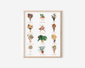 Toronto Flower Print / Toronto Botanical Print