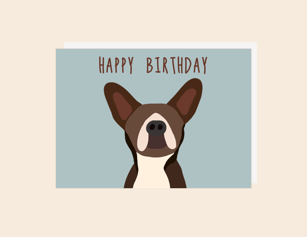 Dog Birthday - Greeting Card